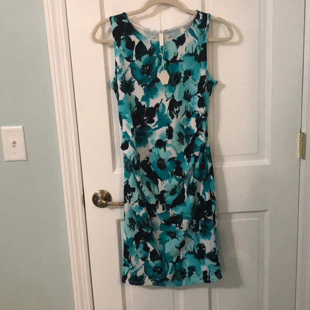Pinkblush Aqua Floral Sleeveless Maternity Dress